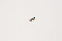iPod Mini Screw Set
