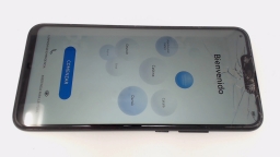 Huawei Mate 20 Lite SNE-LX3 64GB Unknown Carrier CRACKED GLAS/BROWN STAINS