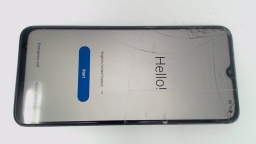 Oppo Nord 300 CPH2389 64GB Unlocked Single Sim CRACKED GLAS/BROWN STAINS