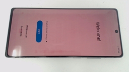 Samsung Galaxy Note 20 4G SM-N980F/DS (Gray 256GB) Unlocked Dual Sim BURN