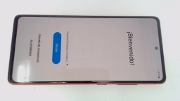 Samsung Galaxy S20 FE 4G SM-G780G/DS 128GB Unknown Carrier Dual Sim BURN