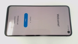 Samsung Galaxy S10e SM-G970U (White 128GB) Verizon LCD BURN/LOOSE REAR