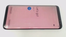Samsung Galaxy S8 SM-G950F (Gray 64GB) T-Mobile BURN/LCD IMPRESSIONS