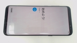 Samsung Galaxy S8+ Plus SC-03J (Black 64GB) Docomo CRACKED GLAS/BURN