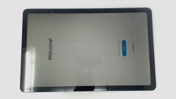 Samsung Galaxy Tab S6 Lite SM-P610 10.4" 64GB Wifi BRIGHT SPOT/YELLOWED