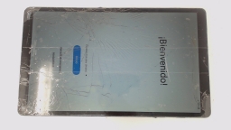 Samsung Galaxy Tab A7 Lite 8.7 SM-T225 32 Unlocked CRACKED GLAS/STAINS/DENTED