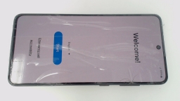 Samsung Galaxy S21 FE SM-G990U1/DS 128GB Unlocked Dual Sim CRACKED GLAS