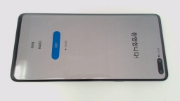 Samsung Galaxy S10 5G SM-G977N (Silver 256GB) KT (Korean Telecom) DARK BURN