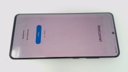 Samsung Galaxy S20 Ultra 5G SM-G988U 128GB Verizon BURN/CRACKED & LOOSE REAR