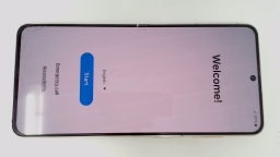 Samsung Galaxy S21 SM-G991U1 128 Unknown Carrier BAD BOARD/CRACKED GLAS/BURN