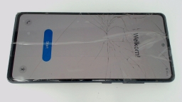 Samsung Galaxy S20 FE 5G SM-G781B/DS Blue 128GB Unknown Carrier CRACKED GLAS