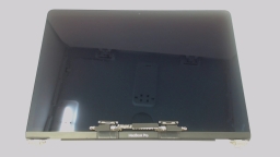 '19 MacBook Pro 13" Space Gray A2159 Display 661-12830 CRACKED CLUTCH COVR
