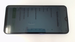 Oppo F11 CPH1911 (Blue 128GB 4GB) Locked to Unknown Carrier Dual Sim