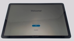 Samsung Galaxy Tab S6 Lite SM-P613 10.4" Tablet (Gray 64GB) Wifi BROWN LCD
