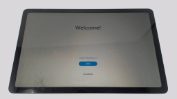 Samsung Galaxy Tab S6 Lite SM-P613 10.4" (Gray 64GB) Wifi CRACKED GLAS BROWN