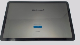 Samsung Galaxy Tab S6 Lite SM-P613 10.4" (Gray 64GB) Wifi CRACKED GLAS BROWN