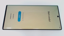 Samsung Galaxy Note 10+ SM-N975F/DS (Silver 256GB) Unlocked BAD LCD