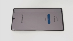 Samsung Galaxy Note 20 5G SM-N981U + Pen (Pink 128GB 8GB) Spectrum