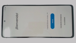 Samsung Galaxy S20 FE 4G SM-G780G (Pink 128GB 6GB) Unknown Carrier BURN IN