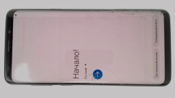 Samsung Galaxy S9+ SM-G965F (Blue 64GB) Unknown Carrier DualSIM CRACKED BURN
