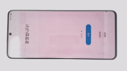 Samsung Galaxy S20 Ultra 5G SM-G988N (Gray 256GB 12GB) Unknown Carrier BURN