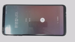 LG V30 LGM-V300L Cellphone (Black 64GB 4GB) Unknown Carrier CRACKED BURN IN