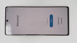 Samsung Galaxy Note20 5G SM-N981U1 + Pen (Pink 128GB 8GB) Unlocked
