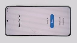 Samsung Galaxy S21 5G SM-G991U1 (Gray 128GB 8GB) Unlocked CRACKED GLAS