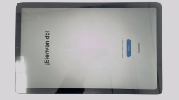 Samsung Galaxy Tab S6 Lite SM-P613 10.4" Tablet (Gray 64GB 4GB) WiFi SPOTS