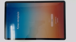 Samsung Galaxy Tab S8+ SM-X806B (Silver 256GB 8GB) Unknown Carrier