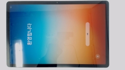 Samsung Galaxy Tab S9 FE+ SM-X610 (Gray 128GB 8GB) WiFi CRACK/RESIDUE