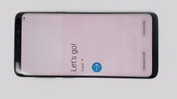 Samsung Galaxy S9 SM-G960U Cellphone (Blue 64GB 4GB) Verizon BURN IN