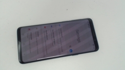 Samsung Galaxy S9 SM-G9600 Cellphone (Gray 64GB) Movistar SCREEN BURN