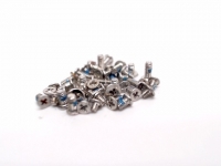 iPhone 6 Plus Screw Set