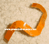 iBook Clamshell Trackpad Ribbon Cable Assembly
