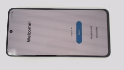 Samsung Galaxy S21 FE 5G SM-G990U3/DS (Blue 128GB 6GB) Unlocked 