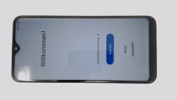 Samsung Galaxy A20e SM-A202F/DS (White 32GB 3GB) Unknown Carrier BLUE TINT