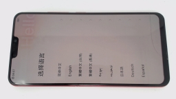vivo X21 Cellphone (Red 128GB 6GB) Unknown Carrier DualSIM CRACKED BURN IN