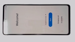Samsung Galaxy S20 FE 5G SM-G781W (Pink 128GB 6GB) Unknown Carrier BURN IN