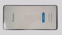 Samsung Galaxy Note 10 Lite SM-N770F/DS (Silver 128GB 6GB) Unknown Carrier