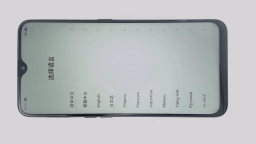 Oppo A9 Cellphone (Black 128GB 4GB) Unknown Carrier DualSIM BROWN LCD