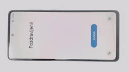 Samsung Galaxy S20 FE 5G SM-G781B/DS (Blue 128GB 6GB) Unknown Carrier BURN IN