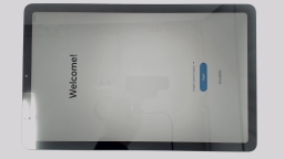 Samsung Galaxy Tab S6 Lite SM-P613 10.4" Tablet (Gray 64GB 4GB) WiFi BROWNLCD