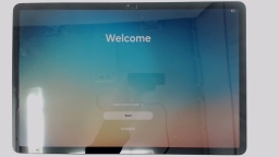 Samsung Galaxy Tab S8+ SM-X800 12.4" Tablet (Gray 256GB 8GB) WiFi BROWN LCD