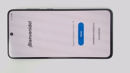 Samsung Galaxy S21 FE 5G SM-G990E Cellphone (Black 128GB 6GB) Unknown Carrier