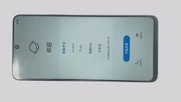 Honor X30 ANY-AN00 Cellphone (Black 256GB 8GB) Unknown Carrier DualSIM LOOSE