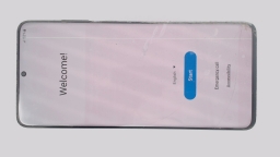 Samsung Galaxy S20+ 5G SM-G986U1 (Black 128GB 12GB) Unlocked CRACKED/BURN