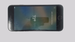 Apple iPhone 8 A1863 Cellphone (Gray 256GB 2GB) Unlocked SingleSIM BAD LCD