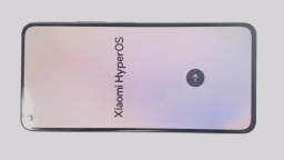 Xiaomi 11 Lite 5G NE 2109119DG (Gray 128GB 8GB) Unknown Carrier BROWN LCD