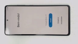Samsung Galaxy S20 FE SM-G780G/DS (Blue 128GB 6GB) Unknown Carrier BURN IN